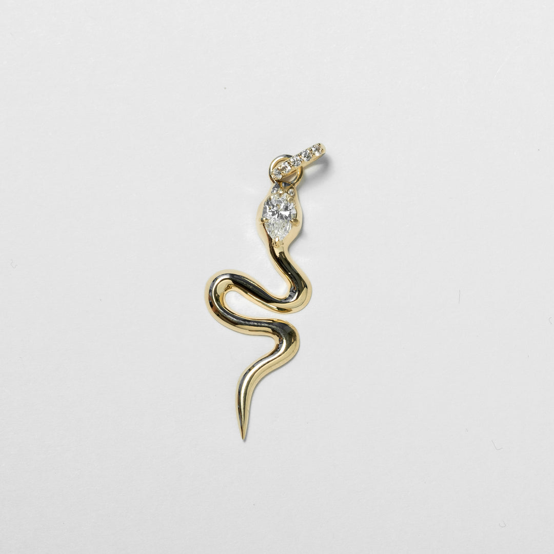 Eternal Serpent Amulet Charm