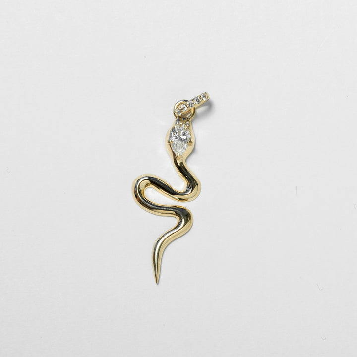 Eternal Serpent Amulet Charm