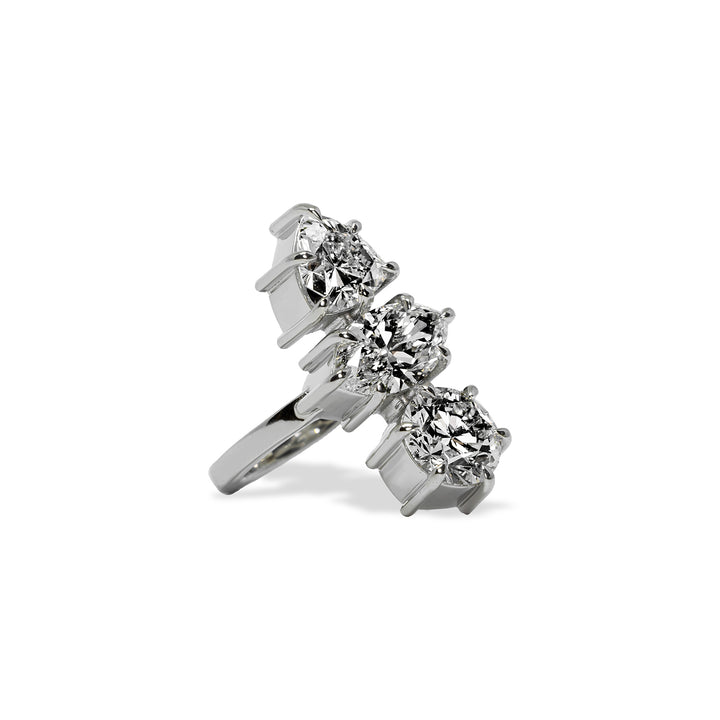 Eternal Trinity Totem Ring