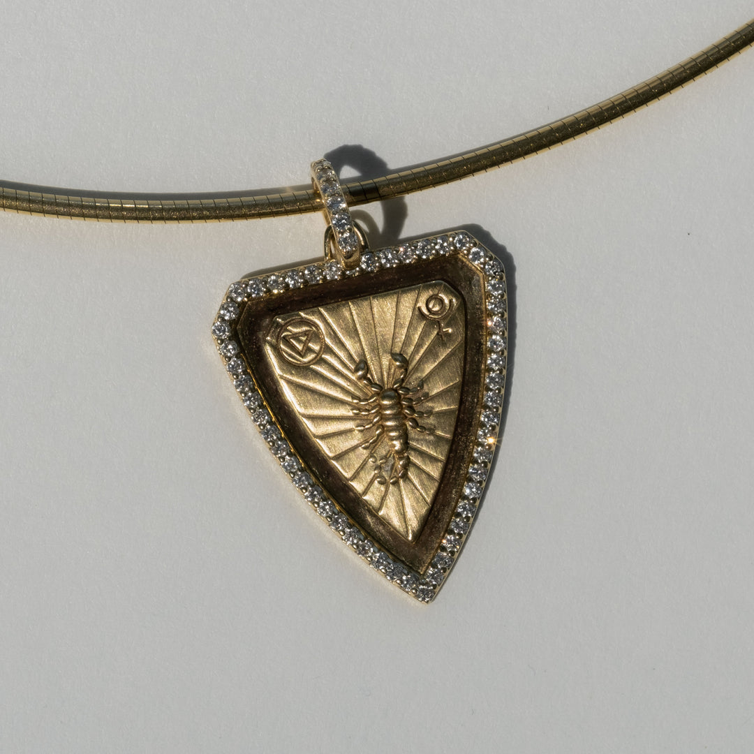 Zodiac Shield Pendant