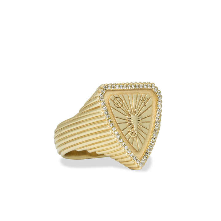 Zodiac Shield Ring