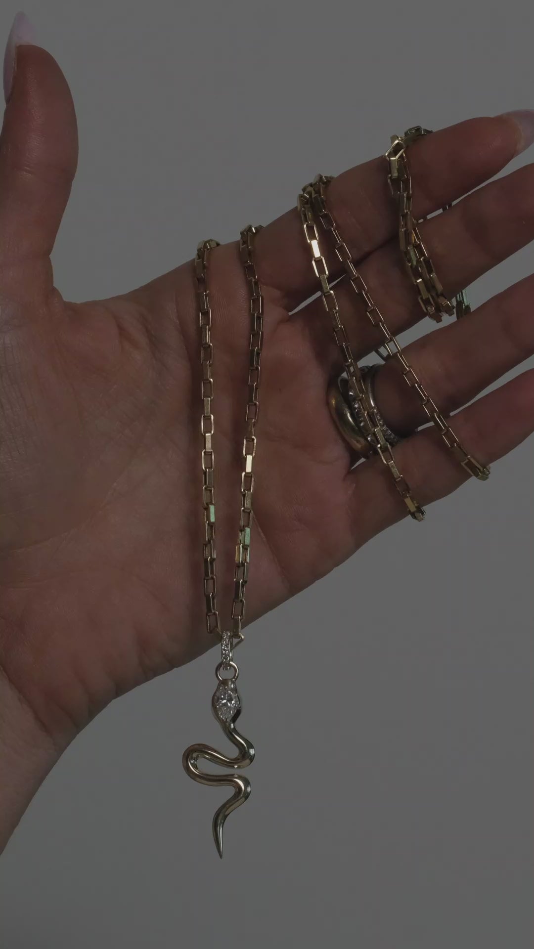 Eternal Serpent Amulet Charm