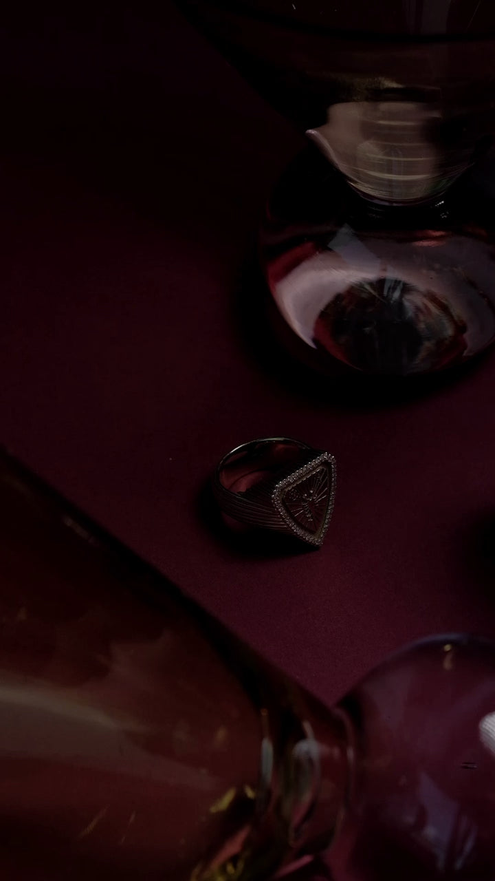 Zodiac Shield Ring