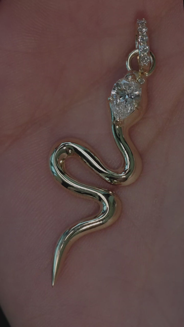 Eternal Serpent Amulet Charm